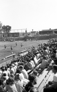 from the stands -  by Paul Discher