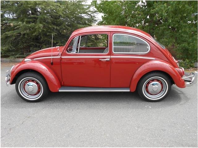 VW-Beetle