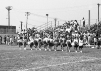 Pom Pom girls - Photo by Paul Discher