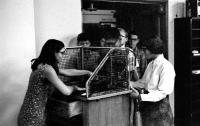 Cafeteria - Photo by Paul Discher